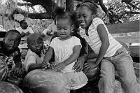  playing in the back of a watermelon truck on Michael Gladden Blvd.