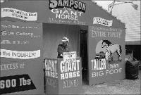 giant-horse-exhibit-at-Apop 